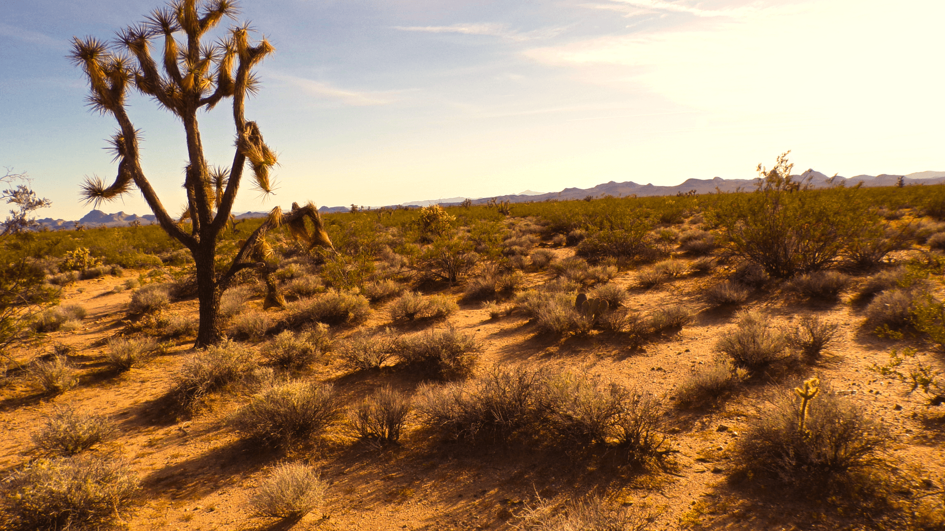 Golden Valley Ranchos - 2.35 Acres Mohave County, Arizona · APN 208-21-266 - Image 1