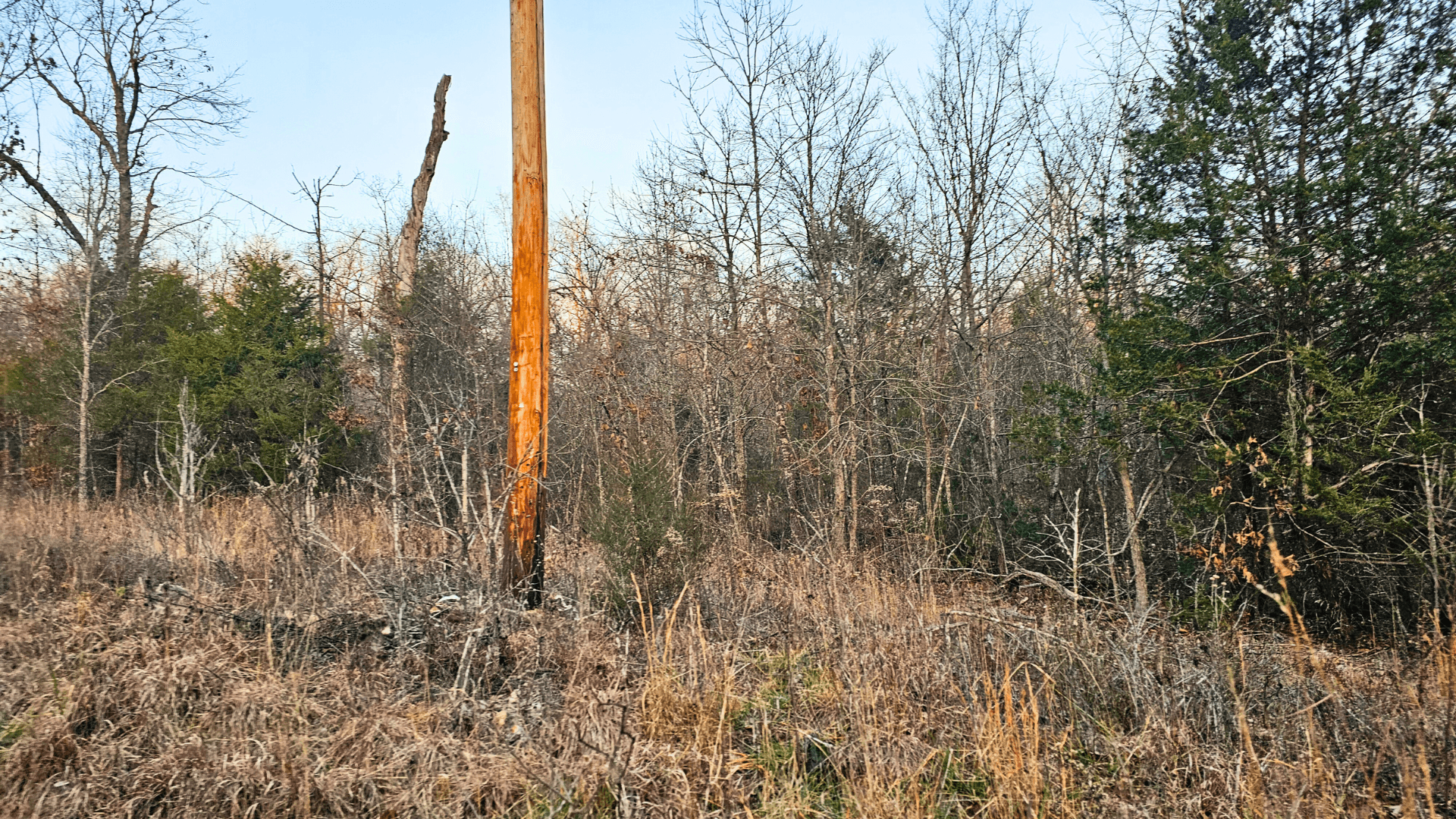 Seminole Fifth - 0.99 Acres Sharp County, Arkansas · APN 300-00616-000 - Image 1